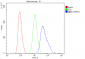 Anti-Hsp70 HSPA1A Antibody Picoband™ (monoclonal, 3H5)